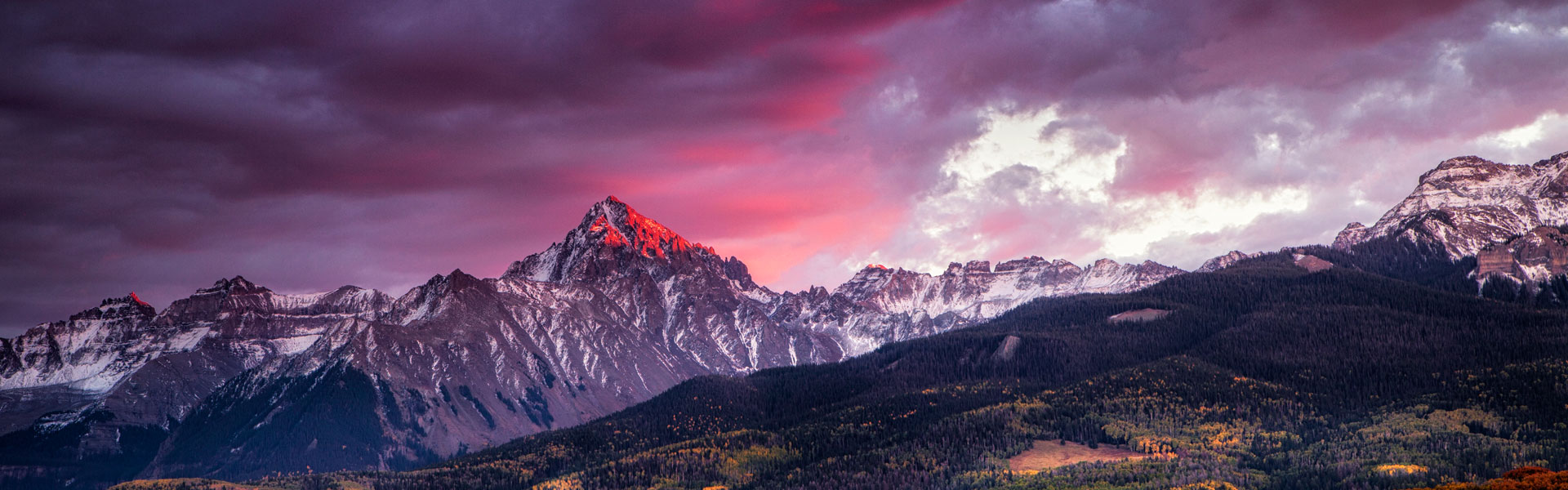 Professionals We Work With Tonic Trails